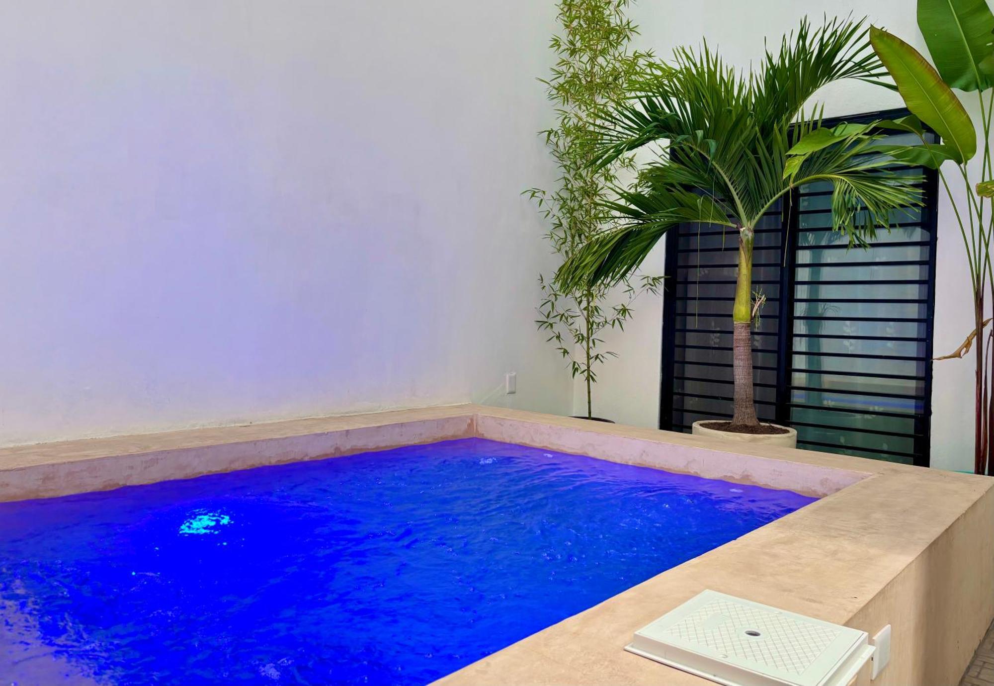 Excelente Alberca Privada En Residencial Privado, Asador, Jardin Villa Ciudad Valles Eksteriør billede