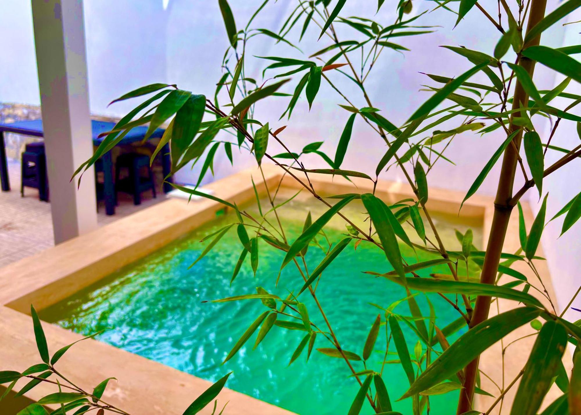 Excelente Alberca Privada En Residencial Privado, Asador, Jardin Villa Ciudad Valles Eksteriør billede